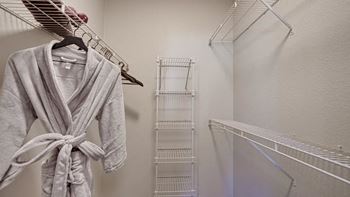 Large closet view